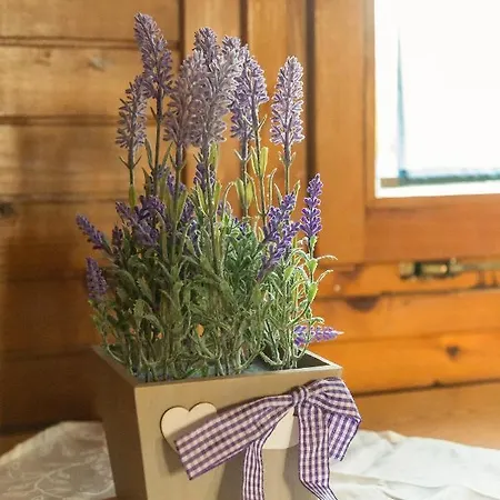 Brunarica Primas Catez Hotel Brežice